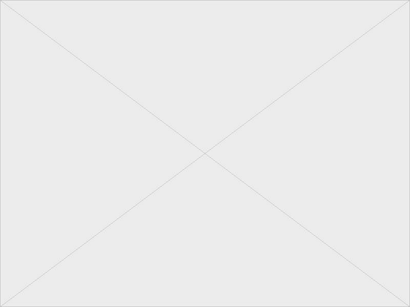 【出っ歯】8カ月、52万円